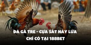 đá gà tre