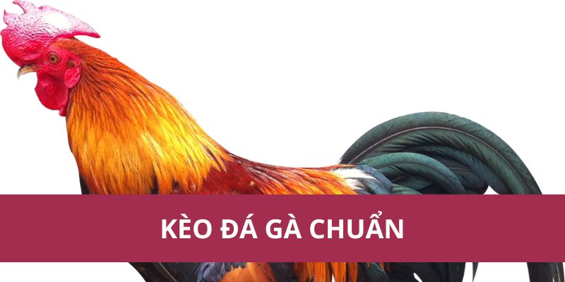 Kèo Đá Gà Chuẩn – Tỷ Lệ Cược Uy Tín Từ Nhà Cái Hàng Đầu 1 kèo đá gà chuẩn